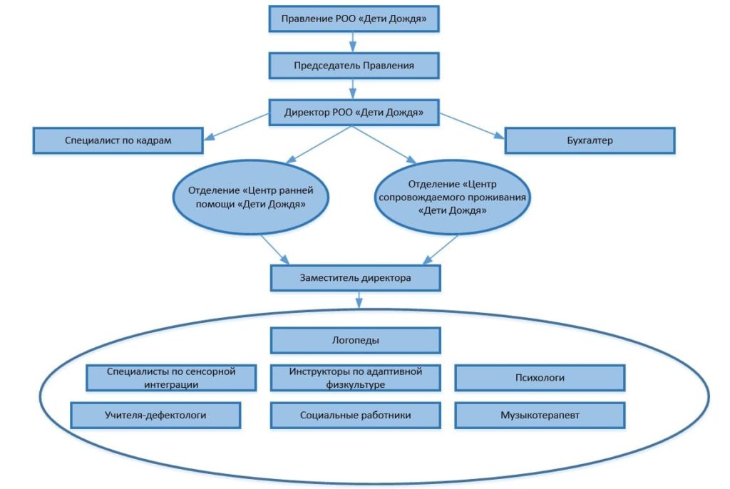 Структура организации РОО "Дети Доджя"